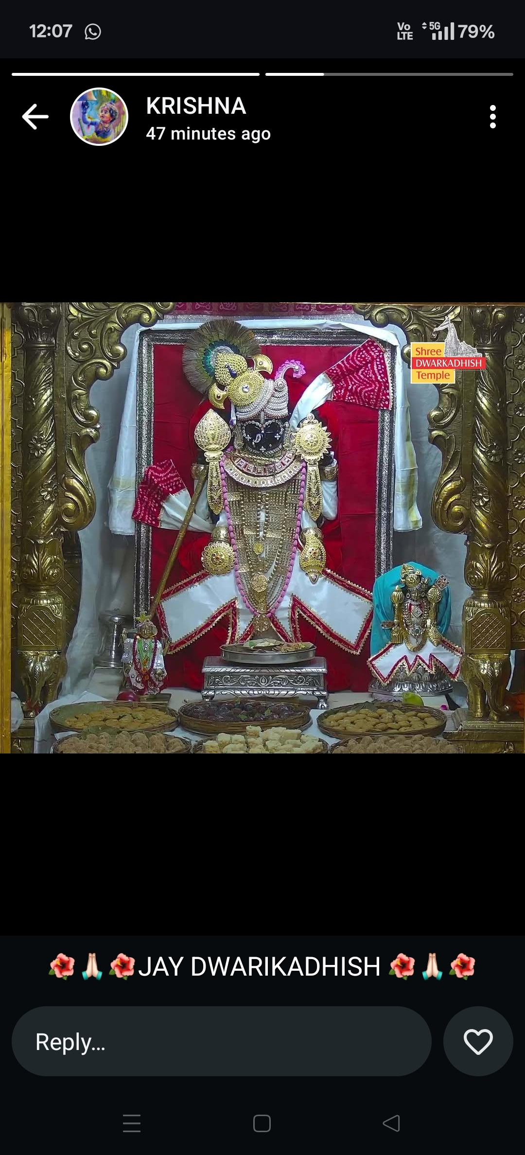 MAHENDRABHAI  JADAV